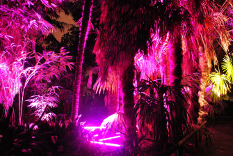 Bright Color Wallpaper