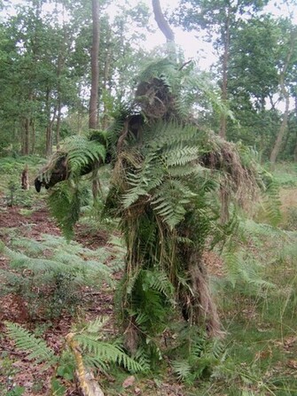 My Fern Ghillie Suit From Behind By Azumininja