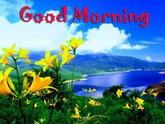 Good Morning Image Wallpaper Photo Pics HD For