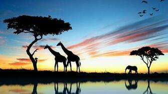 Africa 4k Wallpaper Top Background