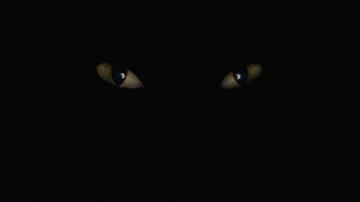 Creepy Eyes Dark Wallpaper