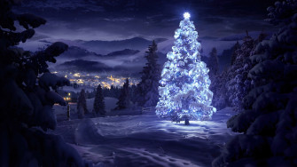 Christmas Tree Glowing Forest 4k Wallpaper iPhone HD Phone 8180h