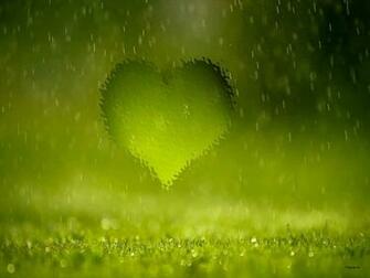 Rain Wallpaper Best Collection Of Rainy Desktop HD