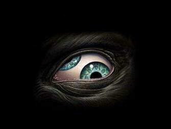 Eye Wallpaper And Background Image Id