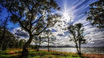 Sunny Summer S Day Wallpaper And Image Pictures