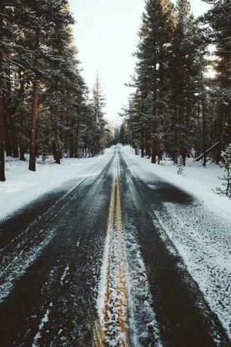 Jamie Lee On Magellan In Winter Photography