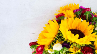 Sunflowers And Roses Yellow S Wallpaper