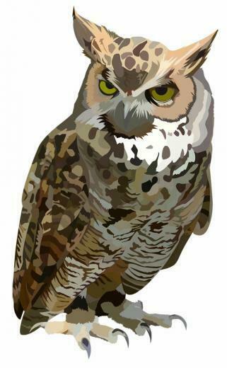 Court Of Owls I Like