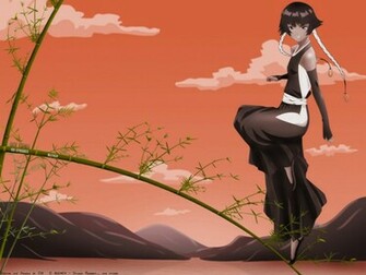 Soi Fon Wallpaper