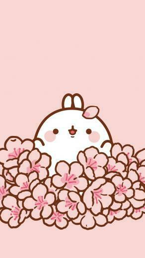 No Pet In Cute