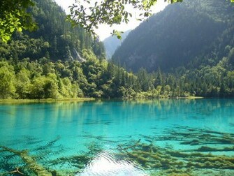 Widescreen HD Wallpaper Desktop For Mobile