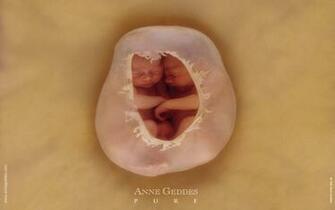 Anne Geddes Wallpaper Photos Desktop