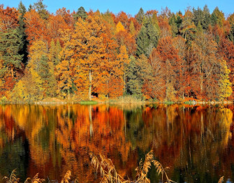 Fall Pictures Image