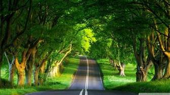 Best Wallpaper For Pcs Laptops Smartphones Tablets Tvs In HD