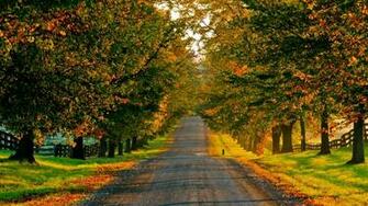 Autumn Road Wallpaper This