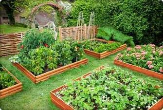 Vegetable And Flower Garden Design Rqqcven Home Wallpaper