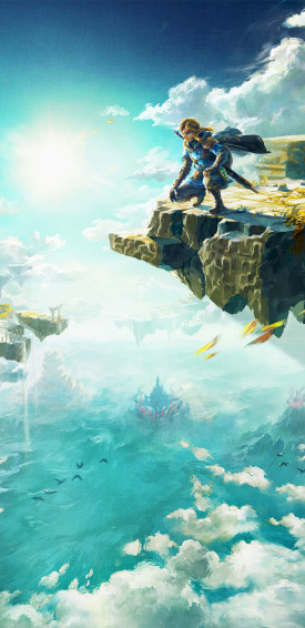 The Legend Of Zelda Tears Kingdom Artwork Wallpaper Cat