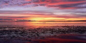 Pin Pink Beach Sunset Desktop Wallpaper