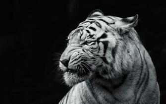 Definition Wallpaper Photo Amazing Html