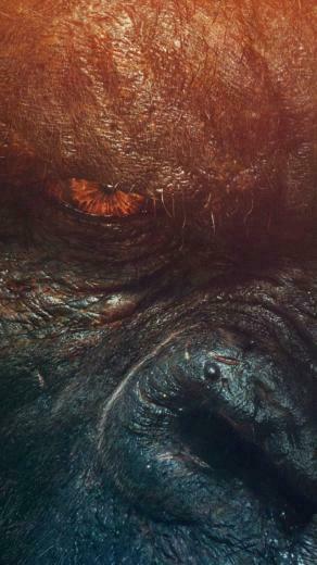 Wallpaper Kong Skull Island Tom Hiddleston Best Movies