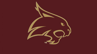 Texas State Wallpaper By Hawthorne85
