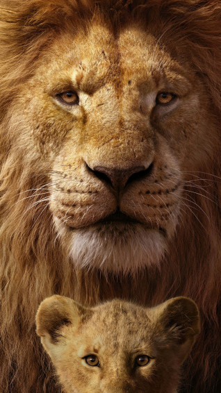 Cute Lion King Wallpaper