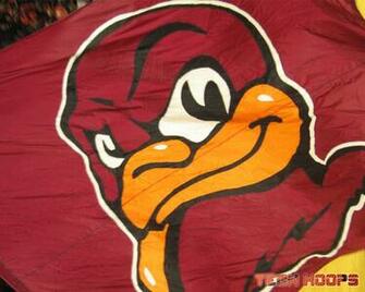 Hokie Wallpaper