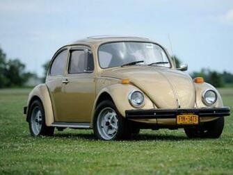 Funfest For Air Cooled Vw Funfestorbust Bug Photo