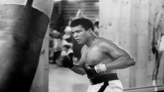 Muhammad Ali Wallpaper Net