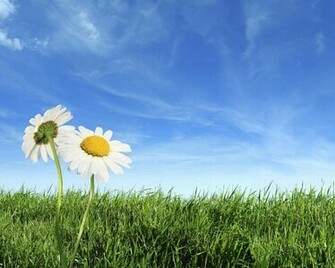 Blue Sky Wallpaper