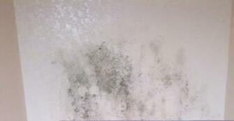 Mold Wall