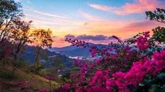 Spring Wallpaper HD Net