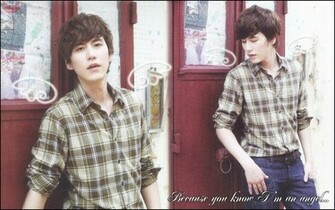 Kyuhyun Wallpaper By Furytigresse