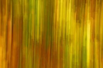 Abstract Nature Background Photograph By Gry Thunes