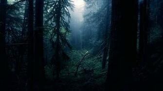 Trippy Forest Wallpaper Image