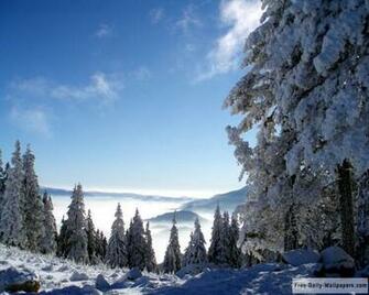 Beautiful Winter Scenery Wallpaper Background HD And Hq