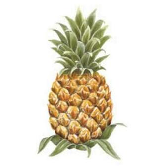 Wallpaper By Topics Kitchen Pineapple Border