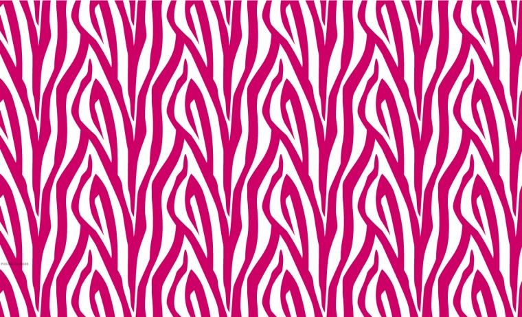 Zebra Wallpaper Print Border Pink