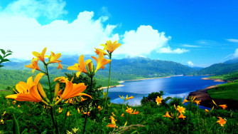 Beautiful Wallpaper HD