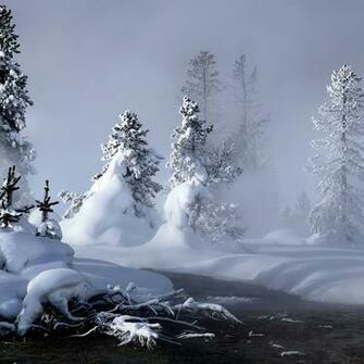 Winter iPad Wallpaper