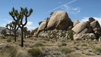 Joshua Tree National Park Wallpaper Sfondi Id