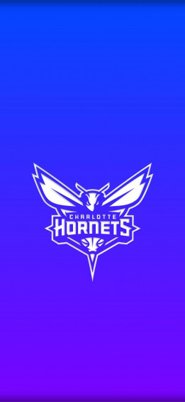 Hornets Wallpaper