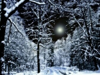 Winter Wonderland Background Wallpaper