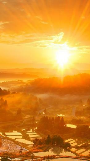 Sunshine Galaxy S4 Nature Wallpaper Android