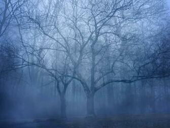 Forest Fog Trees Dark Wallpaper Background