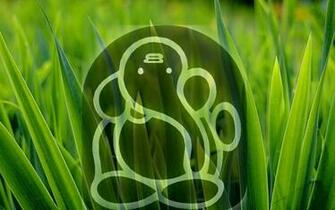 Lord Ganesha HD Wallpaper God