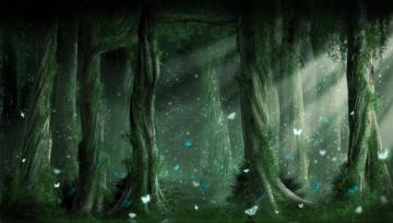 Dark Forest Wallpaper Pixel Wallpaperpass