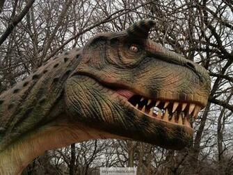 Wallpaper Carnotaurus Image