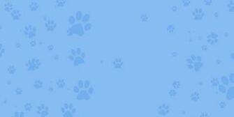 Background Paws Texture Royaile Pet Lodge