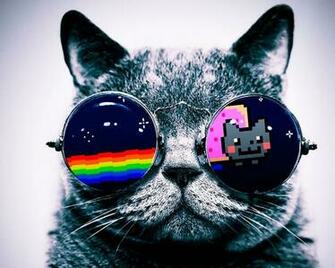 Cat Glasses Kitten Kitty Cute Funny HD Art Large Hot Wall Wallpaper